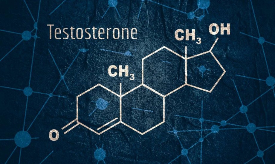 تأثير العلاقات العاطفية على مستويات التستوستيرون