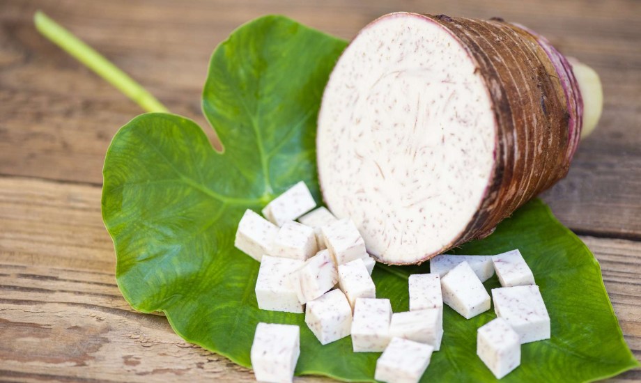 فوائد صحية لتناول القلقاس في الشتاء