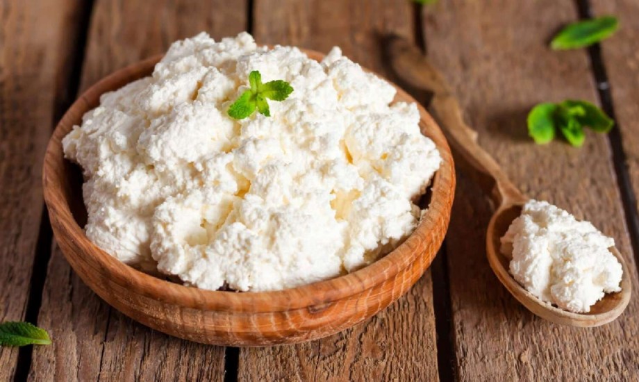 فوائد الجبن القريش