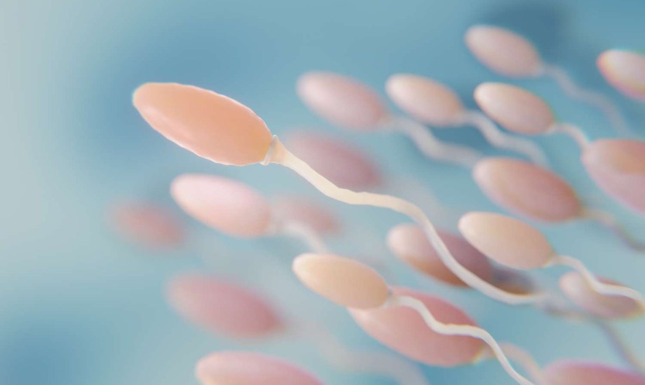 خرافات عن الحيوانات المنوية