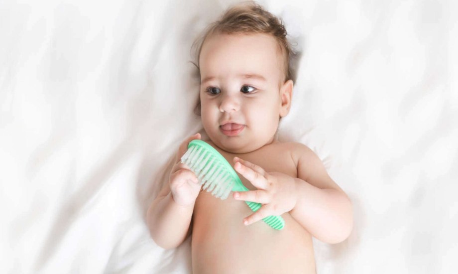 دورة حياة شعر الرضيع