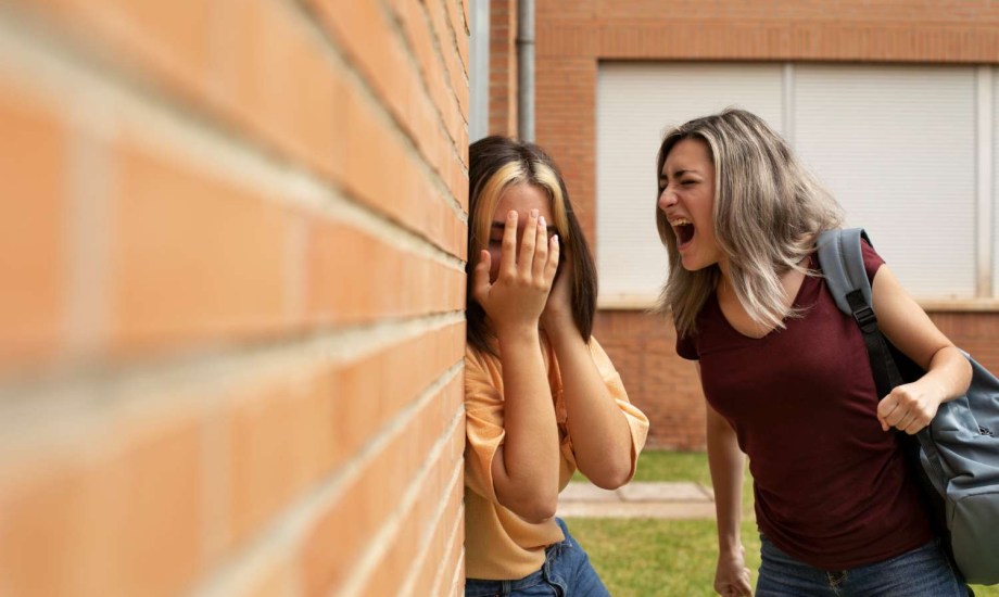 أسباب العنف المدرسي