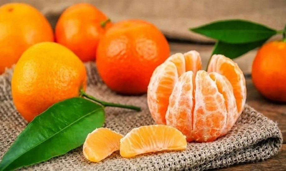 أسباب وأعراض حساسية اليوسفي