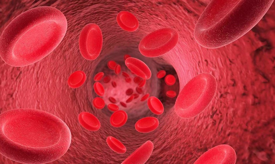 طرق لتحسين تدفق الدم للقضيب