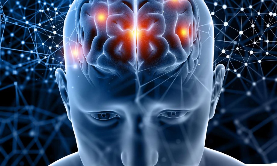 أنواع الذاكرة ووظيفة كل منها