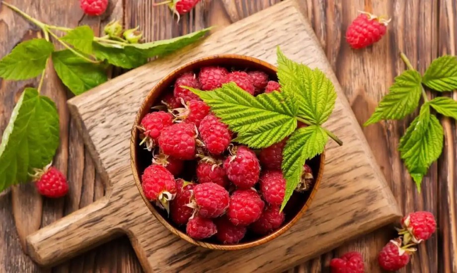 الآثار الجانبية لمكملات كيتون التوت