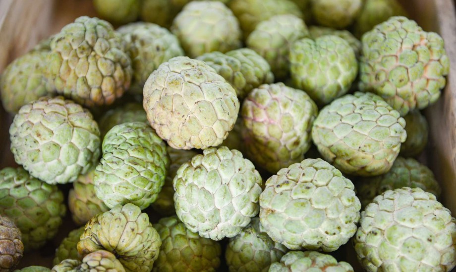 5 فوائد غذائية وطبية لفاكهة القشطة