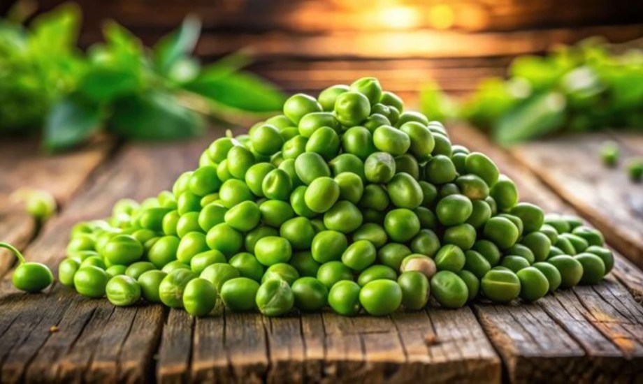 الفوائد الصحية للحمص الأخضر