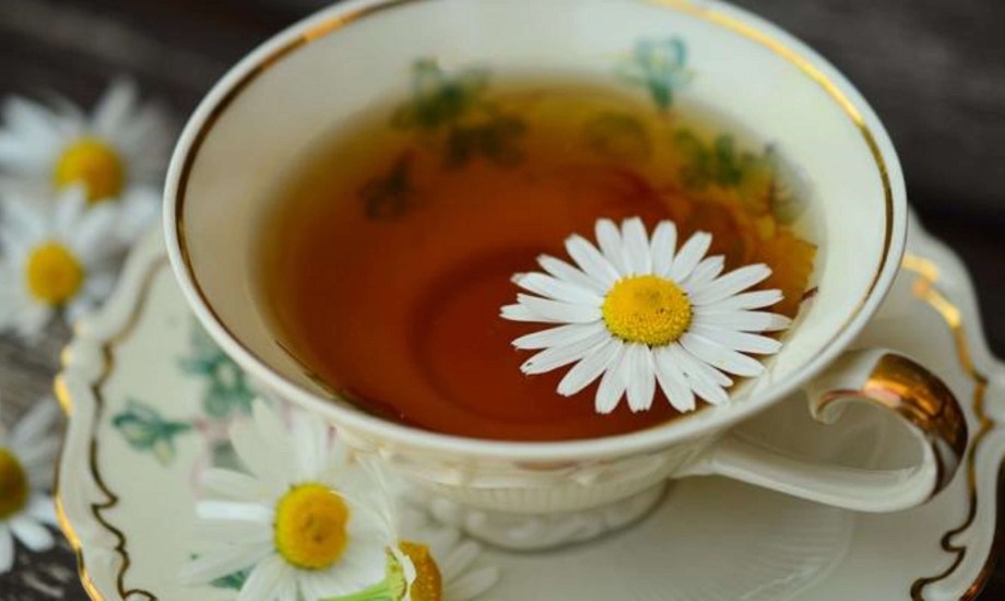 الفوائد الصحية لشرب الكاموميل للرجال