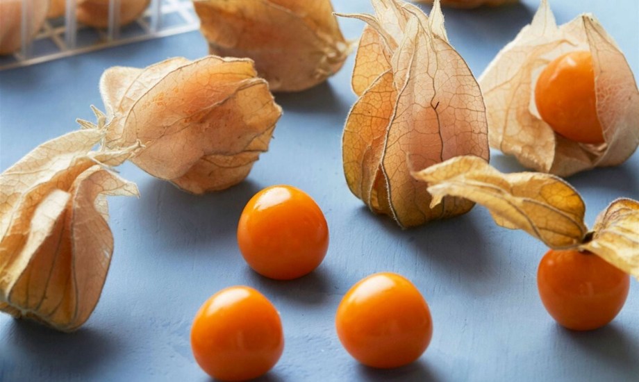 فوائد صحية لتناول الحرنكش