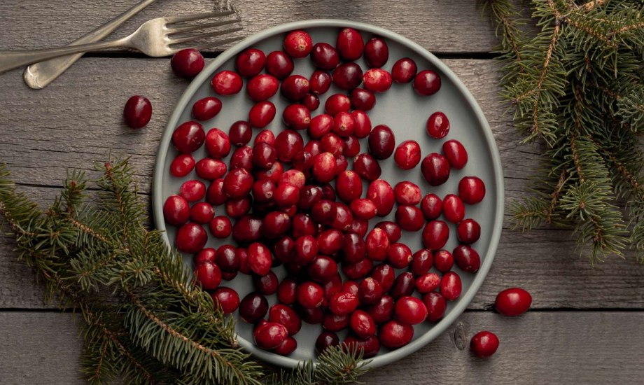 الفوائد الصحية للتوت البري