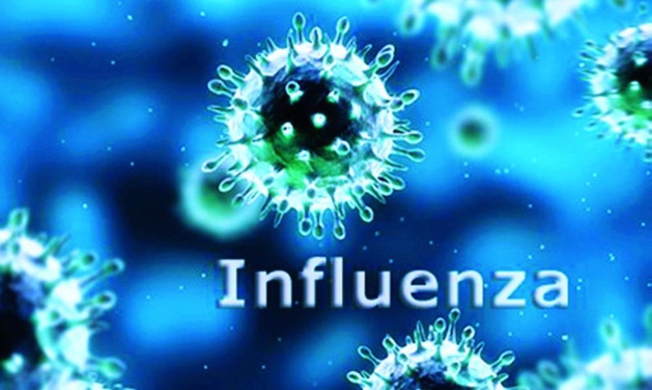 3 أنواع فيروسات الإنفلونزا