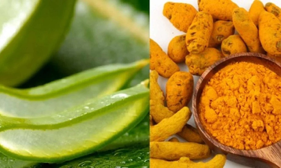 الكركم والصبار لمكافحة رائحة العرق الكريهة تحت الإبطين