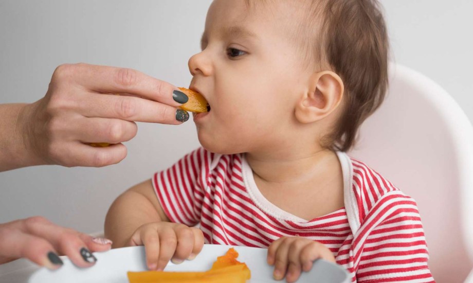 هل المعادن الثقيلة في أغذية الأطفال مثيرة للقلق؟