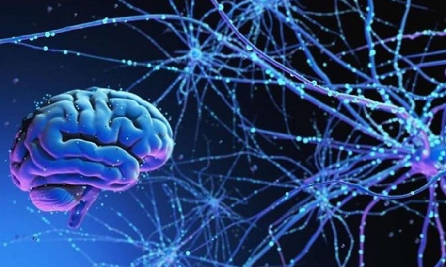 خلايا الجسم تخزن الذكريات مثل الدماغ