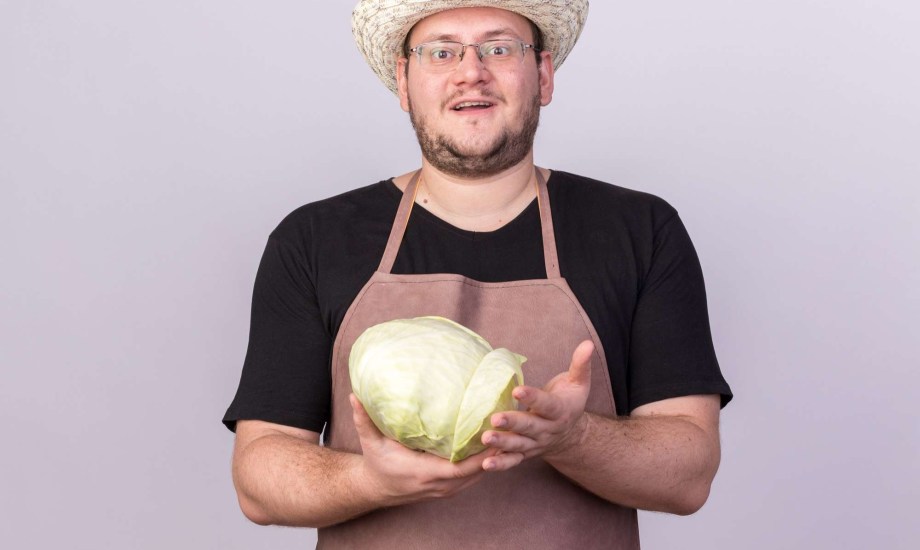 فوائد وأضرار الكرنب