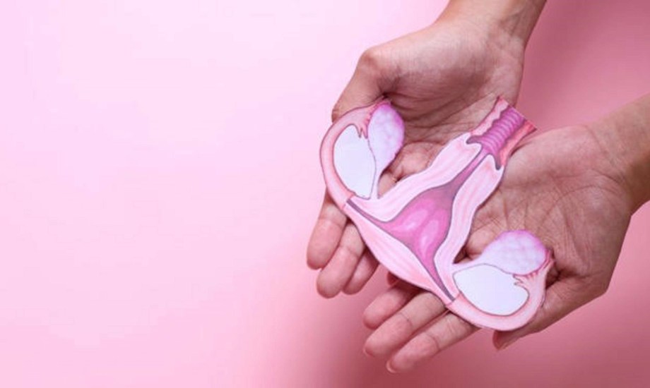 نصائح لتنظيف المهبل بعد العلاقة الزوجية