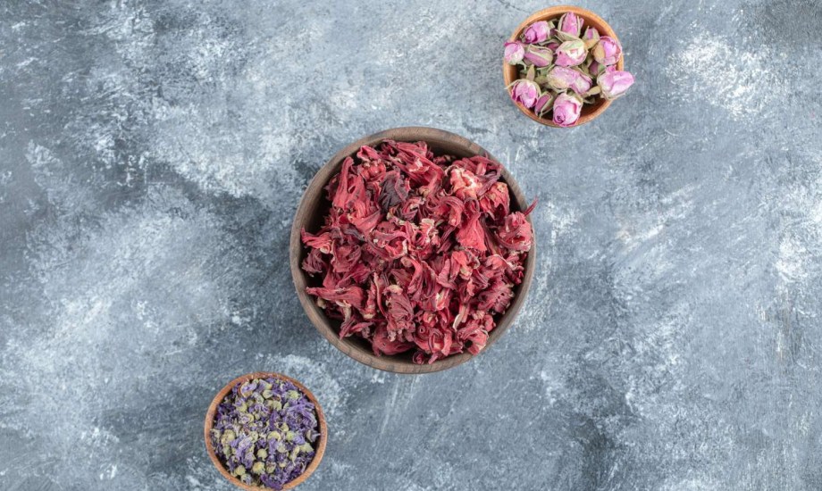 احتياطات ضرورية قبل تناول مكملات القنفذية