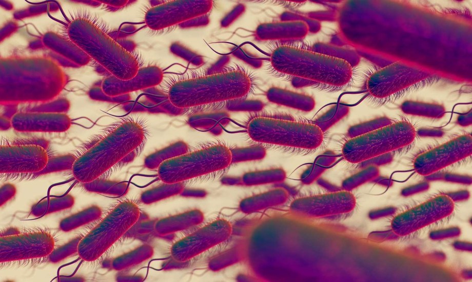 تكبير القضيب بالخلايا الجذعية