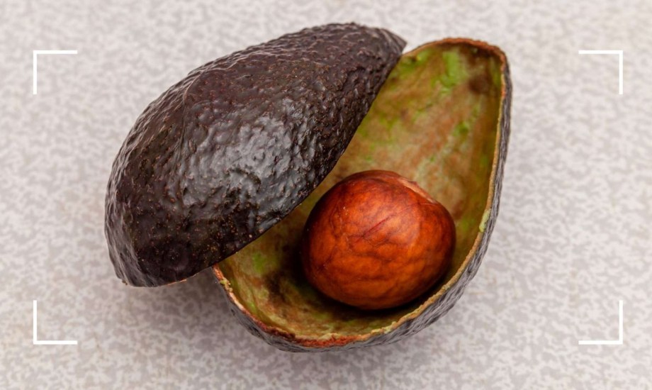 فوائد قشر الأفوكادو