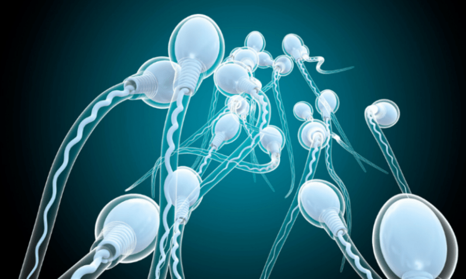 تأثير الجنس الفموي في حركة الحيوانات المنوية