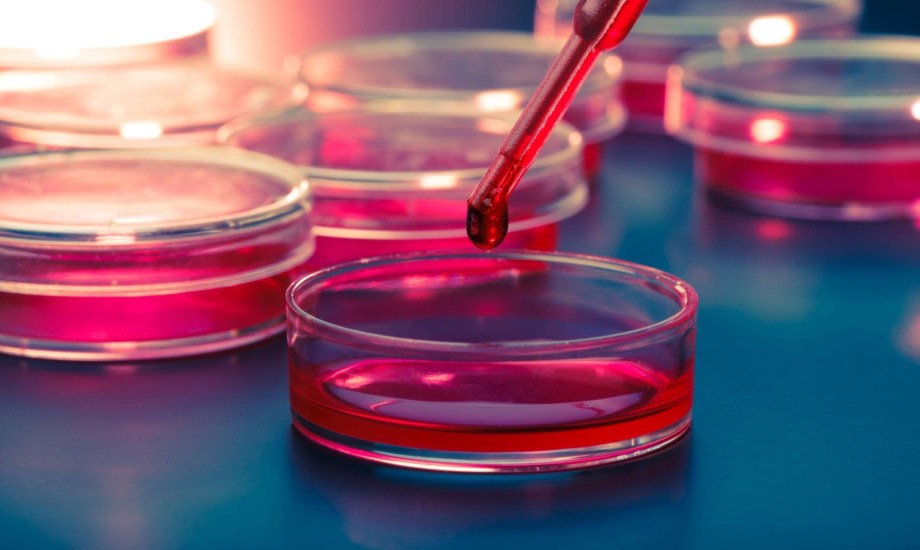 أفضل مستشفيات للعلاج بالخلايا الجذعية في الوطن العربي