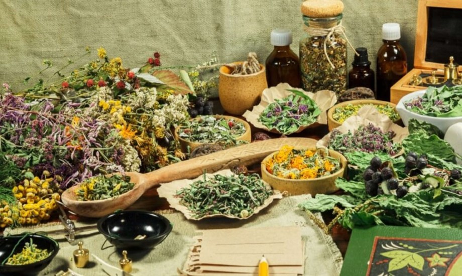 ما هي الأعشاب الصحية المستخدمة في الطب البديل؟