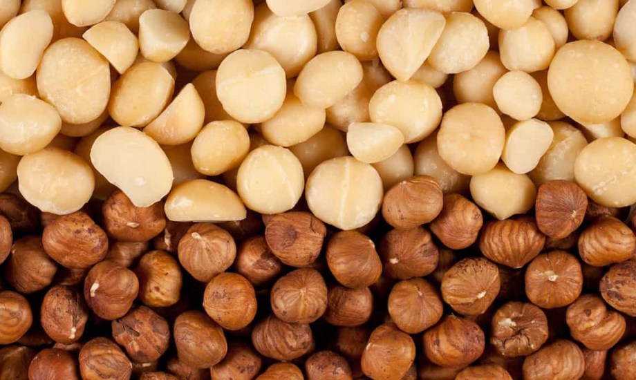  فوائد مكسرات المكاديميا