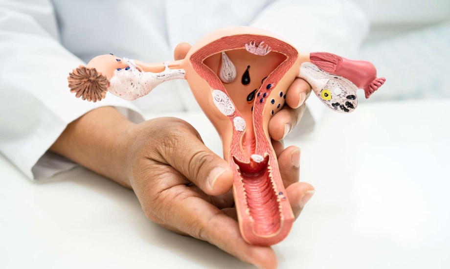 جراحات إعادة بناء الأعضاء التناسلية المشوهة