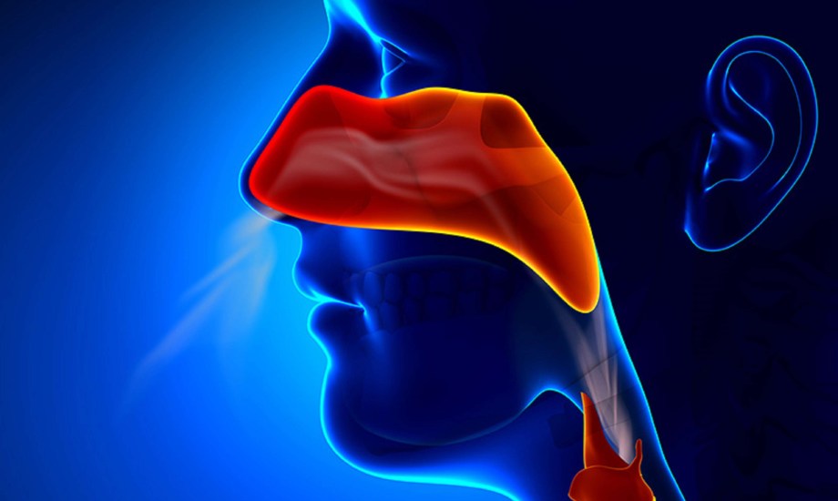 4 علاجات للجيوب الأنفية دون وصفة طبية