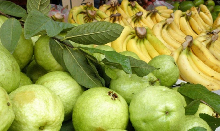 الموز والجوافة يحتويان على مستويات عالية من مضادات الأكسدة