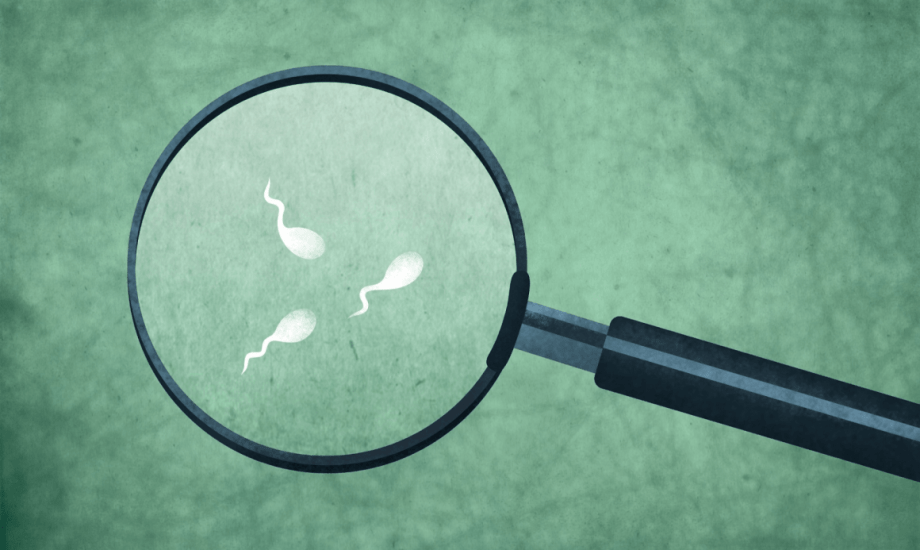 علامات تدل على صحة الحيوانات المنوية