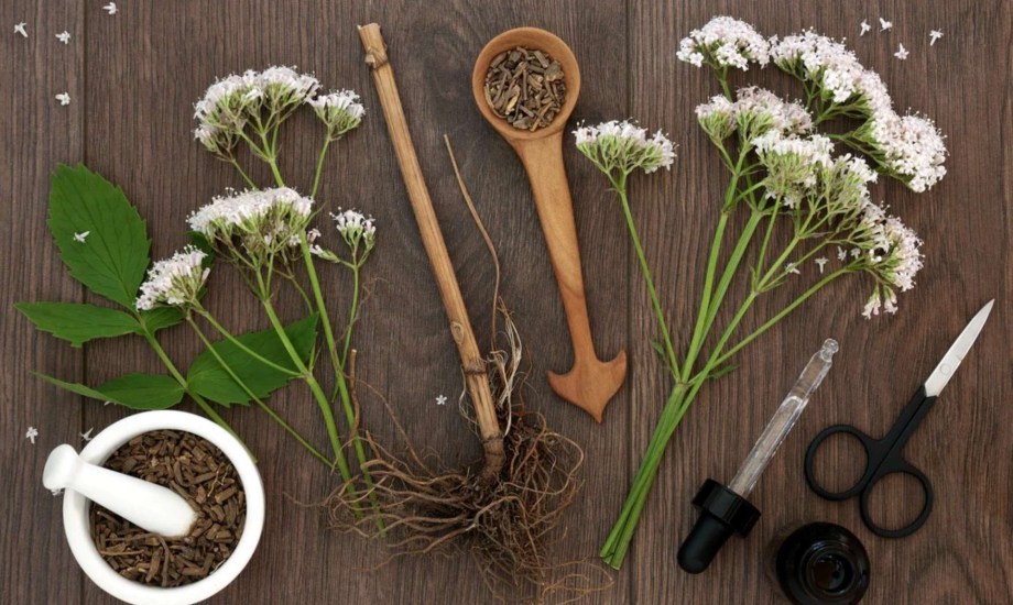 فوائد مكملات عشبة الناردين لمكافحة الأرق وآثارها الجانبية 