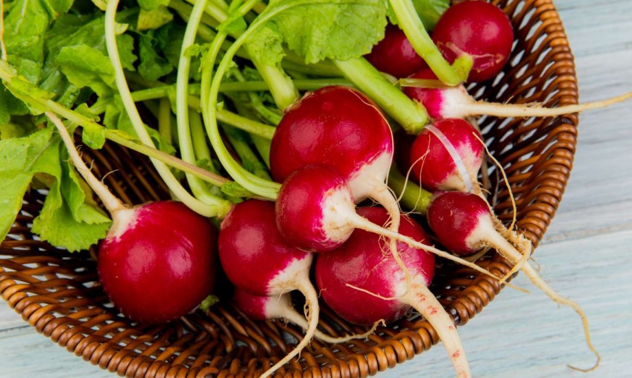 الفوائد الصحية لتناول الفجل