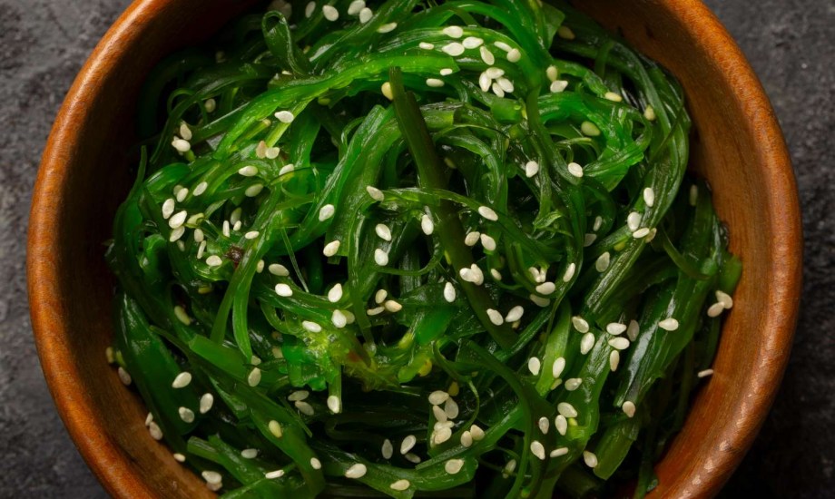 هل طحالب البحر آمنة؟