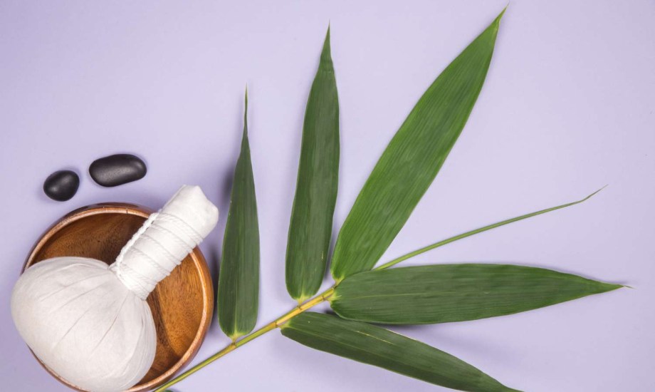 الخيزران وفوائده السحرية