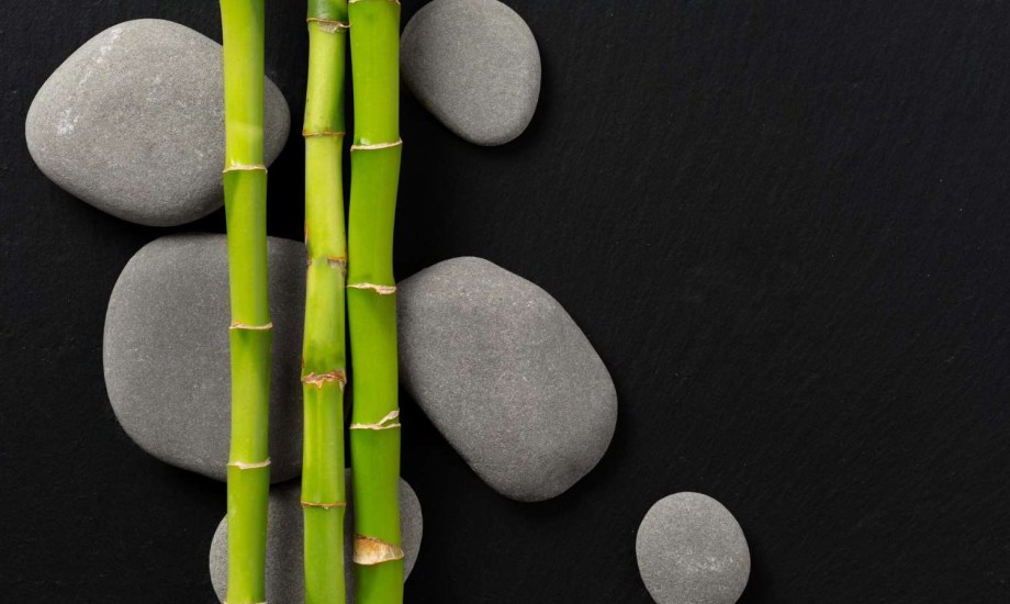 لماذا ينصح أطباء الجلدية باستخدام الخيزران للشعر؟