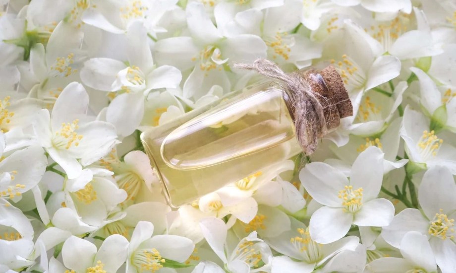 فوائد زيت الياسمين