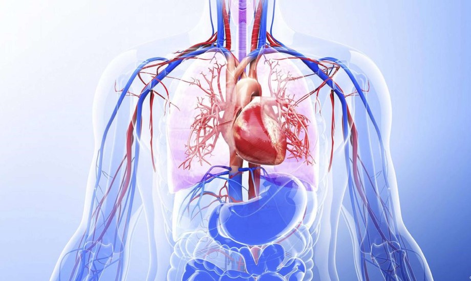 أبرز التغيرات التي تطرأ على الجسم خلال صيام رمضان