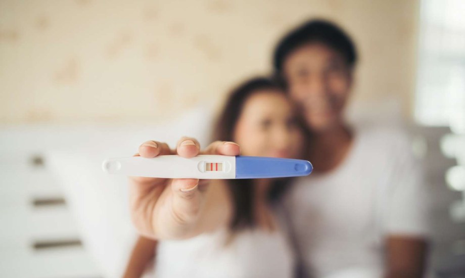 نافذة الخصوبة