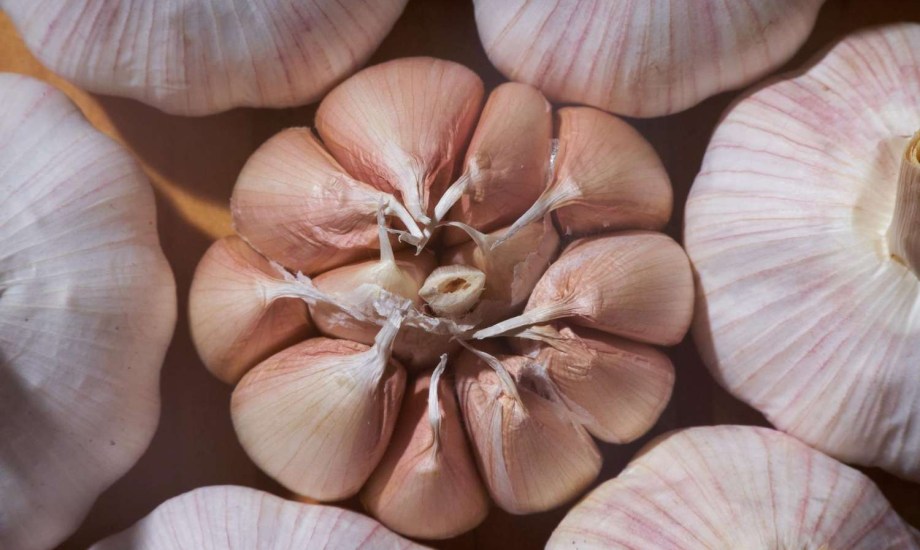 هل يمكن للثوم تحسين الرغبة الجنسية لدى الرجال؟