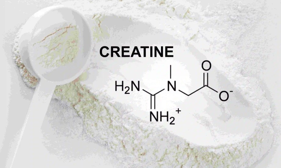 هل يجب تناول الكرياتين يوميًا؟