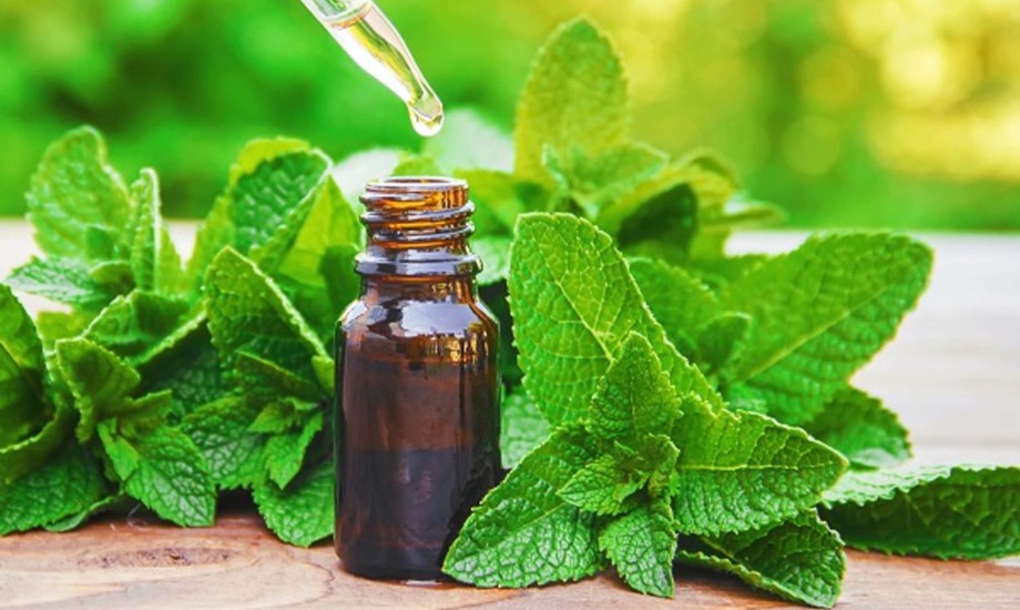 الفوائد الصحية لزيت النعناع للأطفال واحتياطات قبل استخدامه