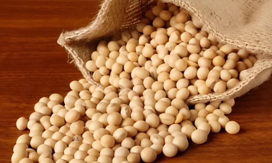 حساسية الصويا وعلاقتها بالضباب الدماغي