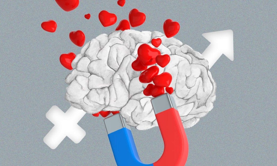 تأثير كيمياء الدماغ على العلاقات الزوجية
