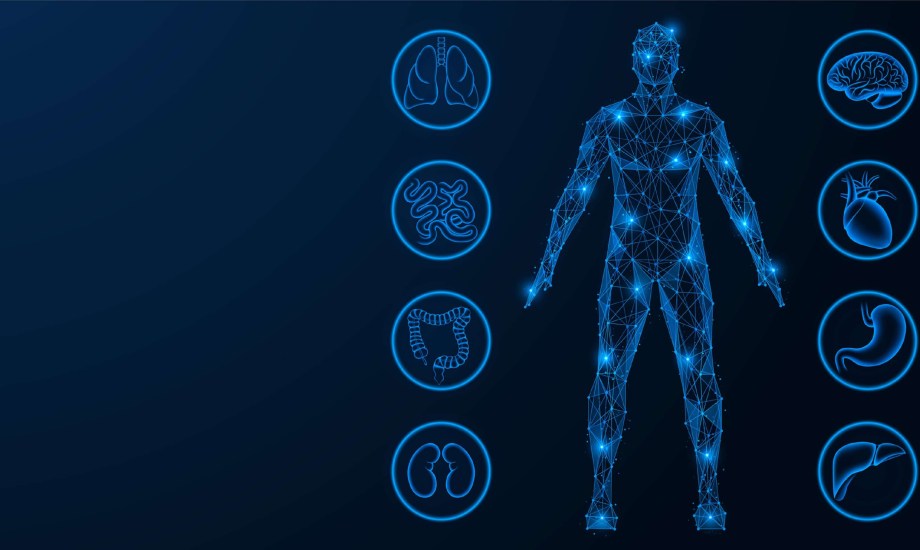 العمر البيولوجي للأعضاء