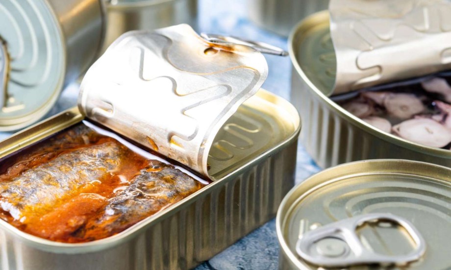 السردين الطازج أم المعلب أيهما الأفضل؟