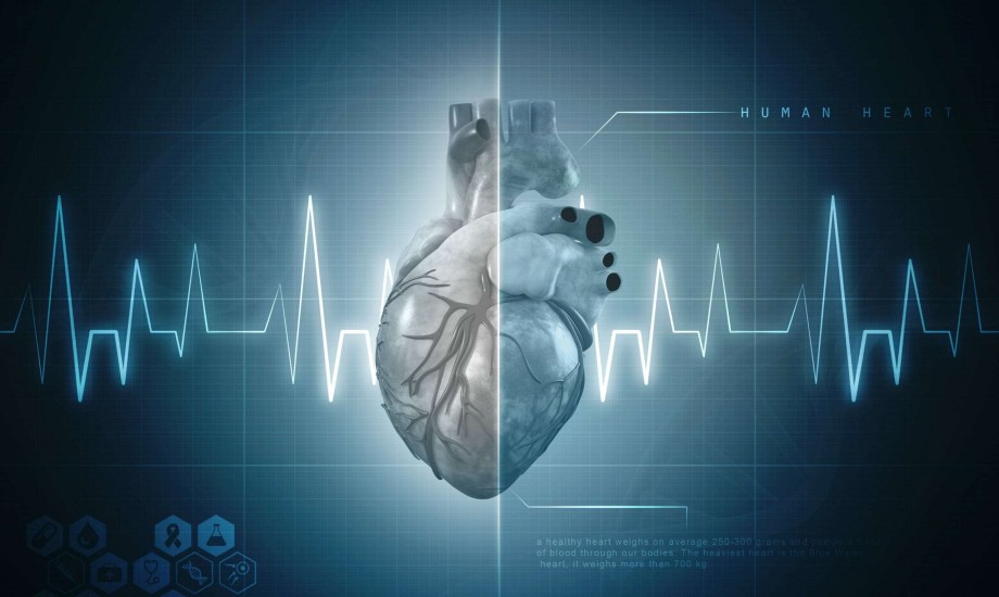 علاج Amvuttra لاعتلال عضلة القلب النشواني