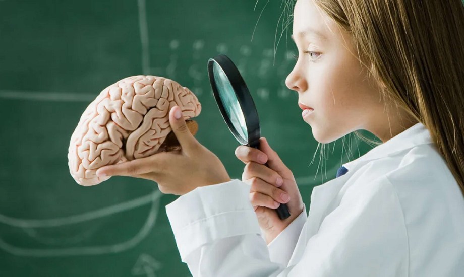 4 عادات يومية تدمر خلايا عقلك دون أن تشعر