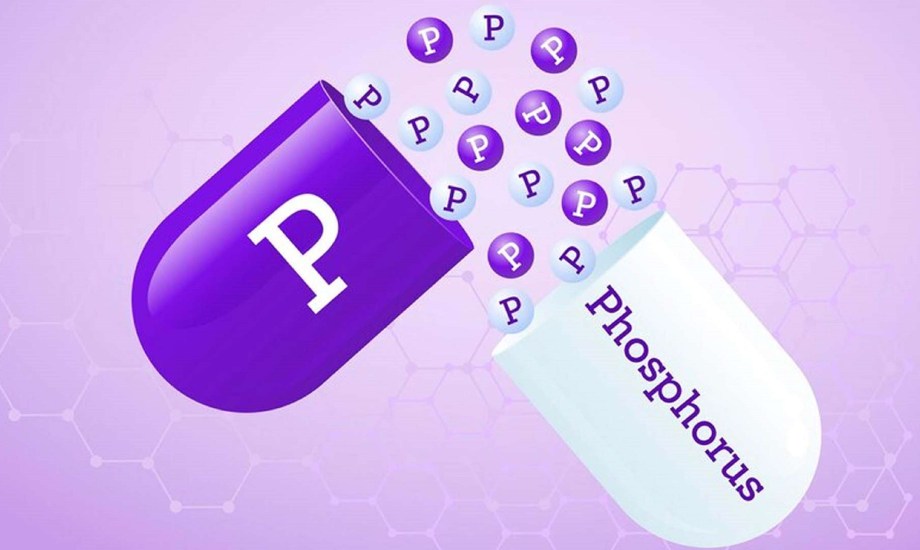 طرق العلاج والوقاية من نقص الفوسفور
